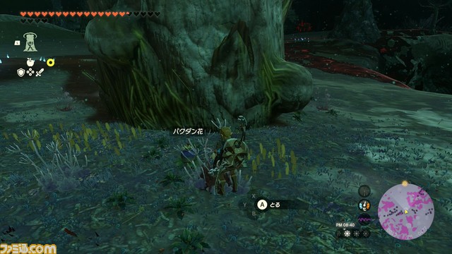 【ゼルダ ティアキン攻略】バクダン花の集め方【ティアーズ オブ ザ キングダム】