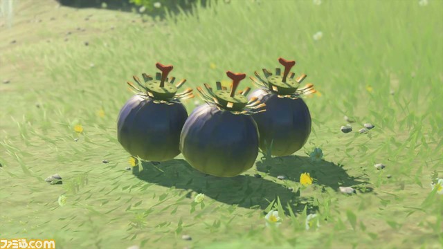 【ゼルダ ティアキン攻略】バクダン花の集め方【ティアーズ オブ ザ キングダム】