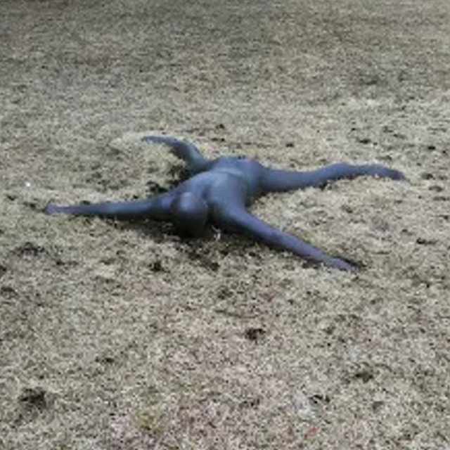 PS5/PS4『レイルウェイ エンパイア2』 発売。19世紀の北米とヨーロッパを舞台にした鉄道経営シミュレーション