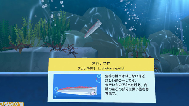 Switch『なつもん! 20世紀の夏休み』事件や謎を調査する“ラッパ森探偵事務所”、“夏祭り”などイベントを紹介