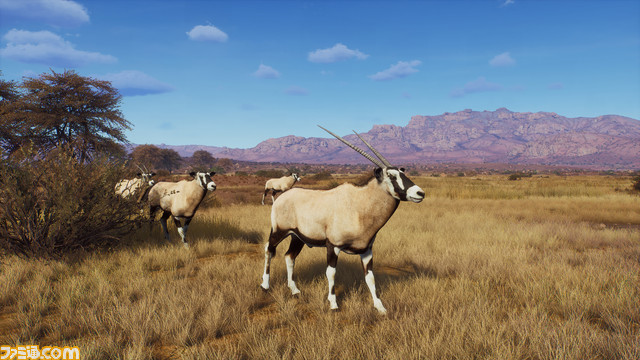 ハンティングゲーム『ウェイ オブ ザ ハンター』新DLC『ティカムーン平原』配信決定。アフリカの豊かな草原が広がる広大なサバンナや砂漠、山々が舞台