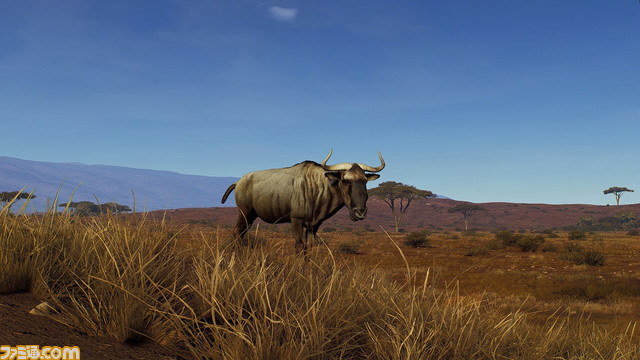 ハンティングゲーム『ウェイ オブ ザ ハンター』新DLC『ティカムーン平原』配信決定。アフリカの豊かな草原が広がる広大なサバンナや砂漠、山々が舞台