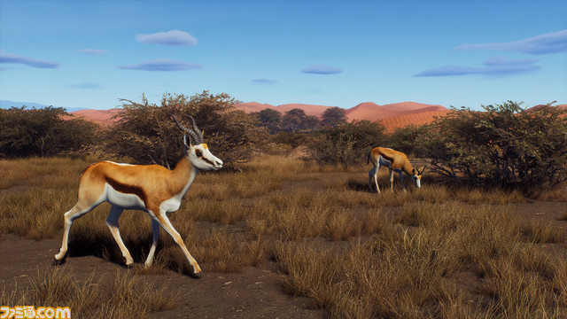 ハンティングゲーム『ウェイ オブ ザ ハンター』新DLC『ティカムーン平原』配信決定。アフリカの豊かな草原が広がる広大なサバンナや砂漠、山々が舞台