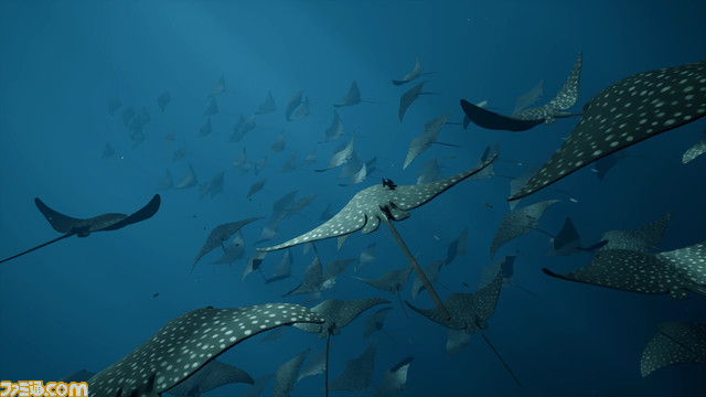 海洋アドベンチャー『Whale Fall』Steamストアページ公開。クジラになったりメンダコになったりしながら迫力満点の海中を漂う