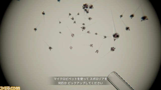 謎の生命体を育てる奇妙なADV『カルチャーハウス』がSteamで発表。プレイヤーは研究施設での7日間をループし、過去に起きた悲劇的な出来事の真相に迫っていく