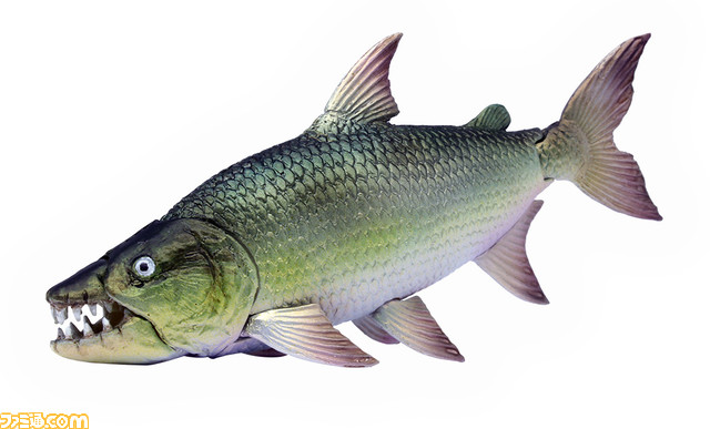 ムベンガやアリゲーターガー、ウツボが立体化した怪魚ガチャが登場。口や尾びれ、体が動くほか解説入りのミニパンフ付き