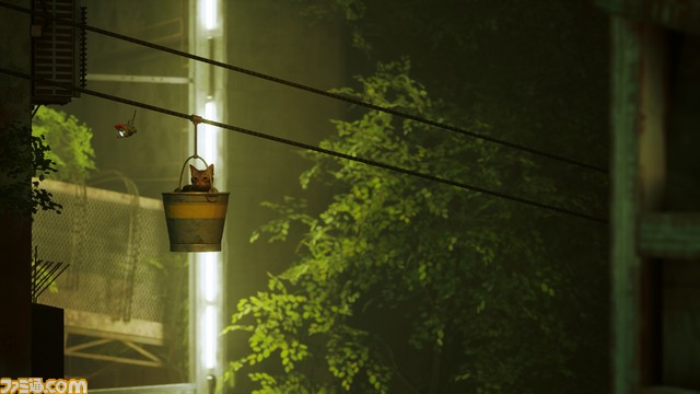 PS5・PS4『Stray』店舗別予約購入特典が公開。Amazon限定セットにはステンレスボトルが付属