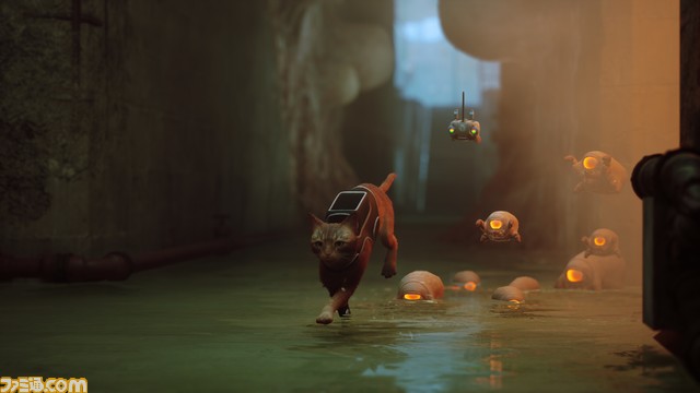 PS5・PS4『Stray』店舗別予約購入特典が公開。Amazon限定セットにはステンレスボトルが付属