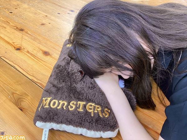 ハリーポッター 怪物的な怪物の本 ぬいぐるみ ダービシュ＆バングズ 稼働確認済