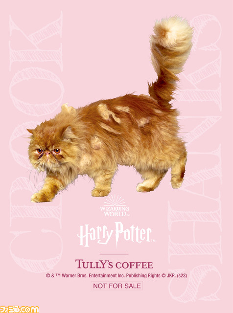 毎年大好評!人気のコラボレーションが今年もやってくる!タリーズコーヒーとハリー・ポッター魔法ワールド『Magical Coffee Time』10月25日(水)より発売開始!