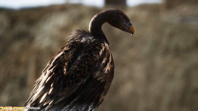 リメイク版『メタルギアソリッド3』最新映像が公開。UE5で描かれたジャングルや山岳地帯を確認できる【Xbox Partner Preview】