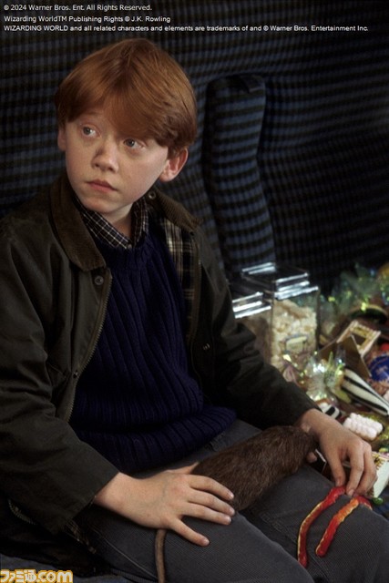 【金曜ロードショー】映画『ハリー・ポッターと賢者の石』が本日（1月12日）21時から放送！ 超人気シリーズの第1作が金ローに再登場！ 「スリザリンは嫌だ！」の帽子の組分けシーンは何度も観たくなる味がある