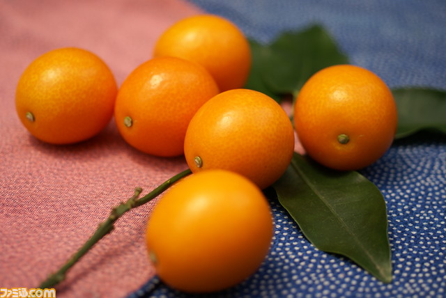 【ポケモン】ナッシーが2月10・11日に新宿みやざき館KONNEに出現。タマタマデザインのスタンドパックに入った完熟きんかんやコラボ商品も販売