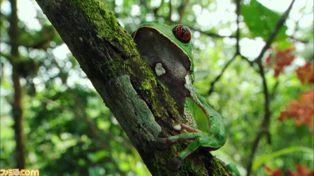 【原神】ディスカバリーチャンネル コラボが決定。カーヴェがサバイバルか。自然保護を目的としたチャリティーイベント【Genshin】