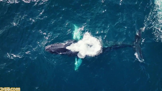 【原神】ディスカバリーチャンネル コラボが決定。カーヴェがサバイバルか。自然保護を目的としたチャリティーイベント【Genshin】