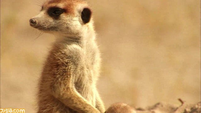 【原神】ディスカバリーチャンネル コラボが決定。カーヴェがサバイバルか。自然保護を目的としたチャリティーイベント【Genshin】