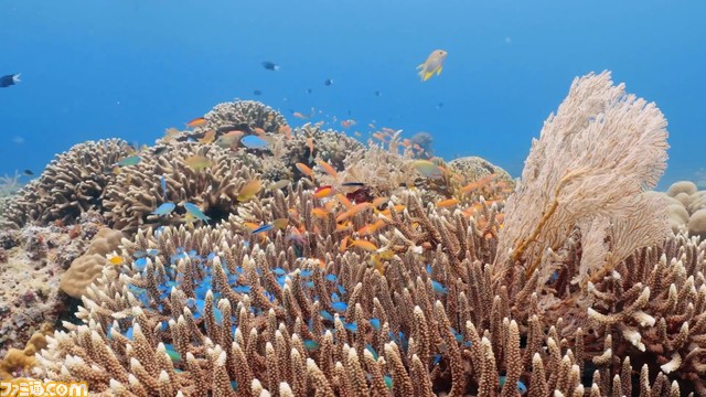 【原神】ディスカバリーチャンネル コラボが決定。カーヴェがサバイバルか。自然保護を目的としたチャリティーイベント【Genshin】