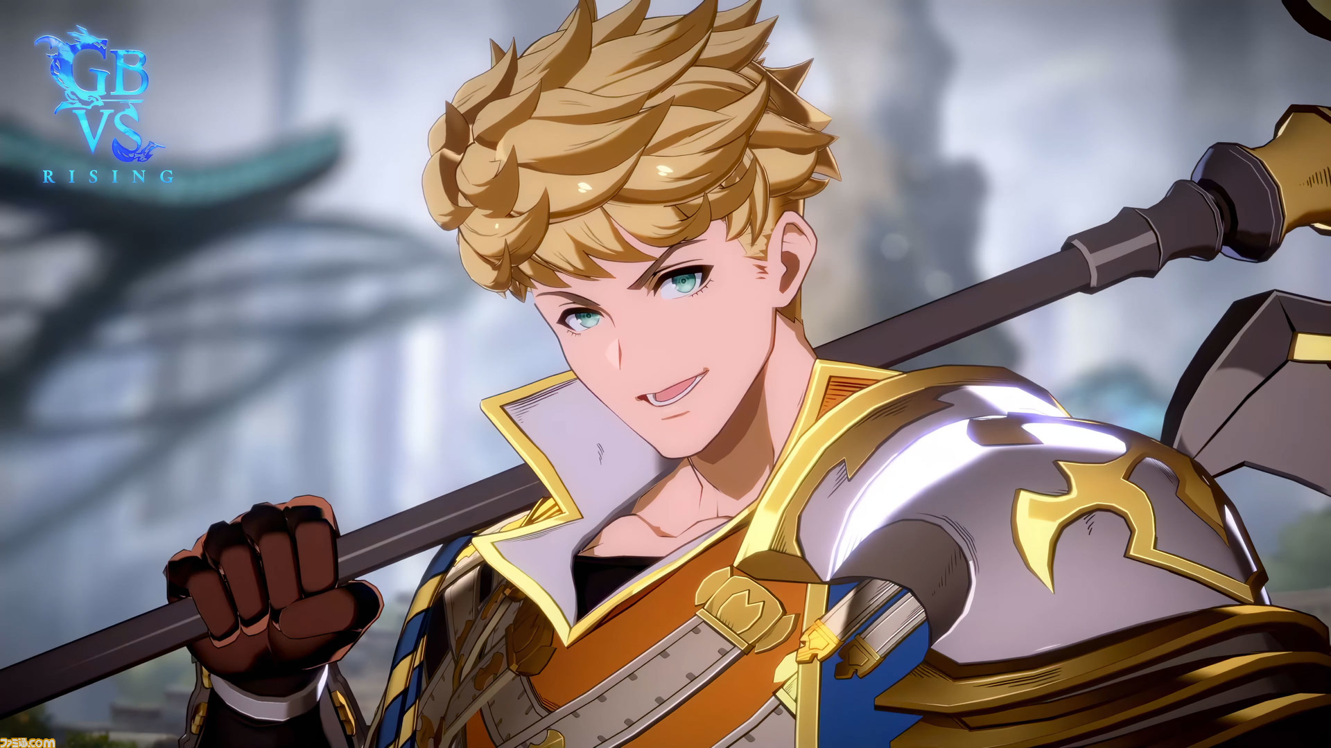 Amazon.co.jp: グラブル 四騎士 ビッグタペストリー セット ラン
