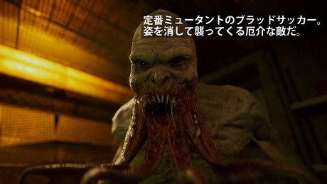 Stalker2 プレビュー