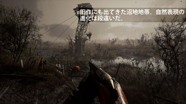 Stalker2 プレビュー