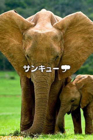 Weathertouch For Iphone 簡単操作の入れ替えパズル 地球温暖化から動物たちを救え関連スクリーンショット 写真画像