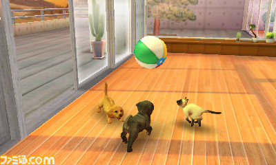 Nintendogs Cats トイ プードル Newフレンズ フレンチ ブル Newフレンズ 柴 Newフレンズ 子犬や子猫との新しい暮らし関連スクリーンショット 写真画像 Nintendogs Cats トイ プードル Newフレンズ フレンチ ブル Newフレンズ 柴 Newフレンズ 子犬や子猫との新しい暮らし関連スクリーンショット 写真画像