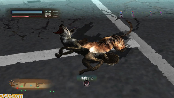 Tokyo Jungle トーキョージャングル 動物たちによる真のサバイバルストーリーが始まる関連スクリーンショット 写真画像 Tokyo Jungle トーキョージャングル 動物たちによる真のサバイバルストーリーが始まる関連スクリーンショット 写真画像
