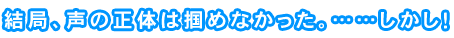 結局、声の正体は掴めなかった。……しかし！