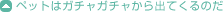 ペットはガチャガチャから出てくるのだ