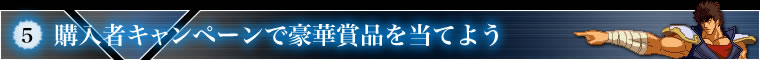 5.購入者キャンペーンで豪華賞品を当てよう