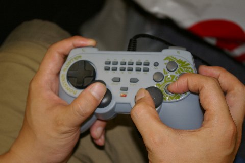 IMGP2934.JPG
