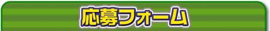 応募フォーム