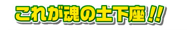 これが魂の土下座！！
