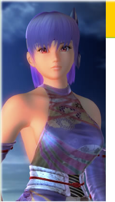 画像　DEAD OR ALIVE 4(Xbox 360 プラチナコレクション)