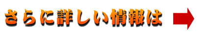 公式サイトへ
