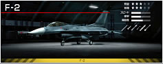fighter008