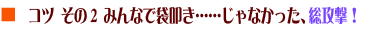 コツ その2 みんなで袋叩き……じゃなかった、総攻撃！