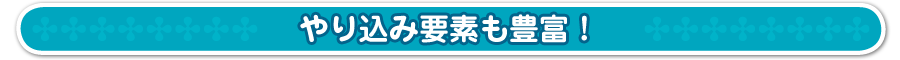 やり込み要素も豊富！