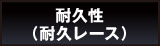 耐久性（耐久レース）