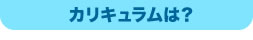 カリキュラムは？