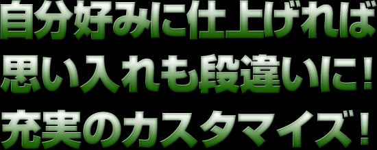自分好みに仕上げれば思い入れも段違いに！ 充実のカスタマイズ！