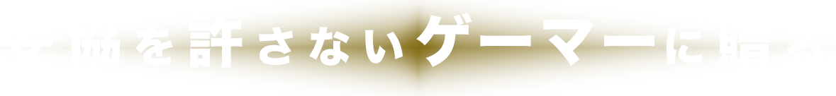 妥協を許さないゲーマーに贈る