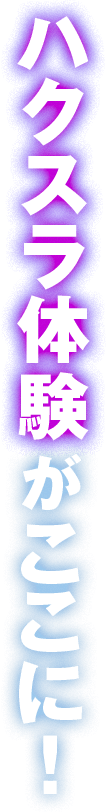 ハクスラ体験がここに！