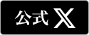 公式X
