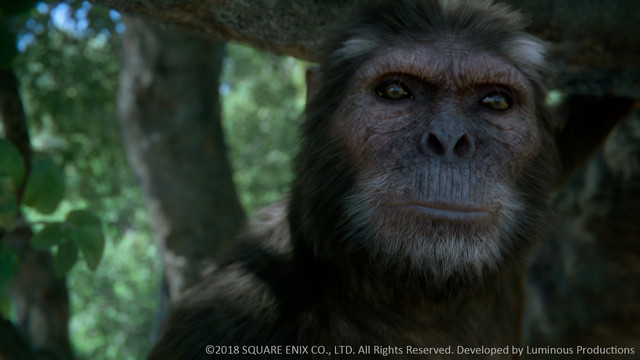 田畑端氏率いるLuminous Productions、NHKスペシャル シリーズ『人類誕生』へCG映像制作で協力!_04