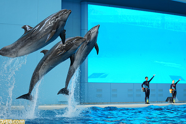 艦娘声優陣との“瑞雲”コールの応酬や、お絵かき、イルカ提督の演技に大喝采! "『艦これ』鎮守府第三次瑞雲祭り"艦娘スペシャルステージリポート!_19