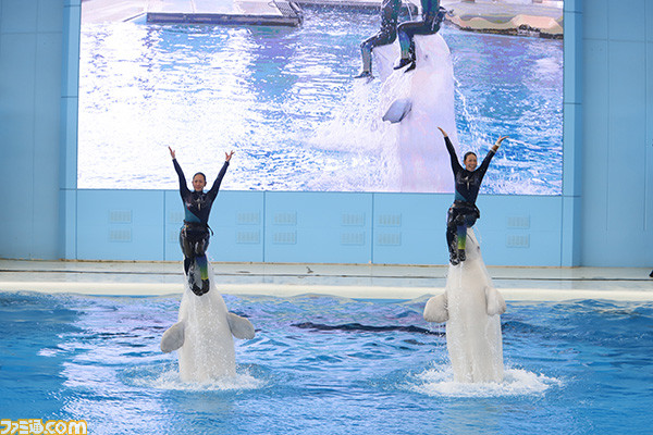 艦娘声優陣との“瑞雲”コールの応酬や、お絵かき、イルカ提督の演技に大喝采! "『艦これ』鎮守府第三次瑞雲祭り"艦娘スペシャルステージリポート!_40