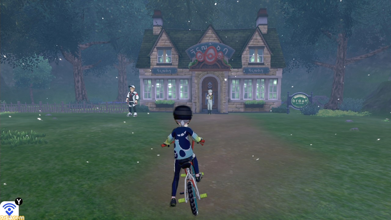 初めてのポケモン厳選&育成。その手順を解説【ポケモン剣盾/入門講座】_06