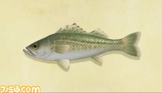 『あつ森』国際環境NGOが地球環境問題を学べる島を公開。住民はすべて絶滅危惧種【あつまれ どうぶつの森】