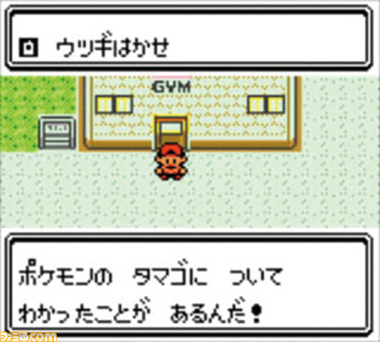 『ポケモン 金・銀』、『ポケモン ルビー・サファイア』さらに『ポケモン オメガルビー・アルファサファイア』が発売された日。シリーズファンにっては特別な1日!?【今日は何の日?】